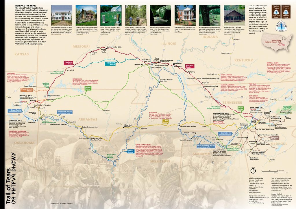 A map of the southeastern and south-central United States showing the several Cherokee removal routes known as the Trail of Tears, by land and water, from Tennessee, Georgia, North Carolina, and Alabama to Indian Territory in present-day Oklahoma.